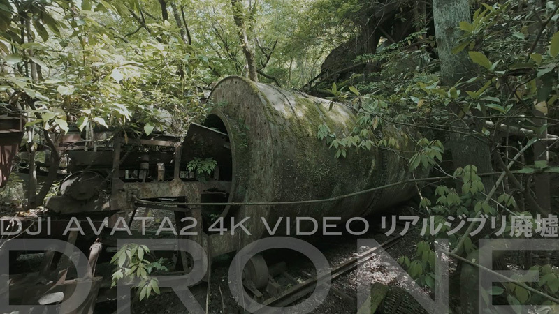 AVATA2ドローン映像