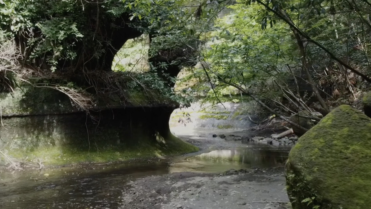 マイクロドローンIMGTECH