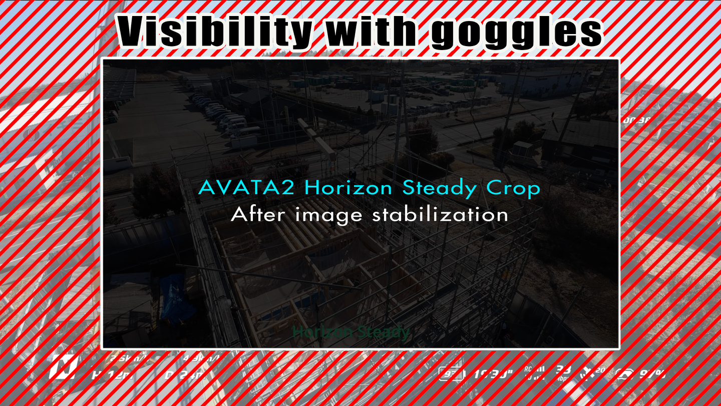 AVATA2ホライゾンステディー